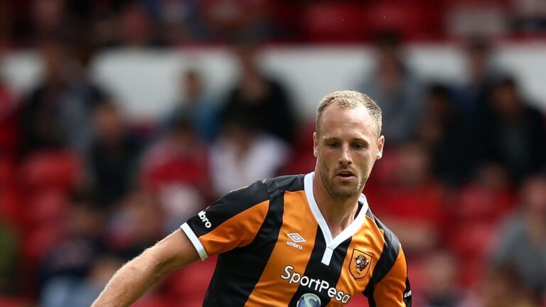 david-meyler-hull-city_3758284