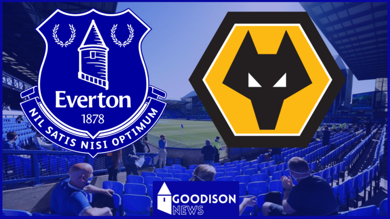 everton-wolves