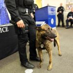 tn-gnp-me-glendale-police-promotion-20190912-1