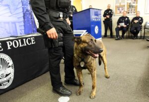 tn-gnp-me-glendale-police-promotion-20190912-1